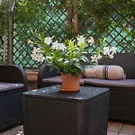 Hotel Del Corso Borgomanero