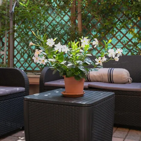 Hotel Del Corso Borgomanero